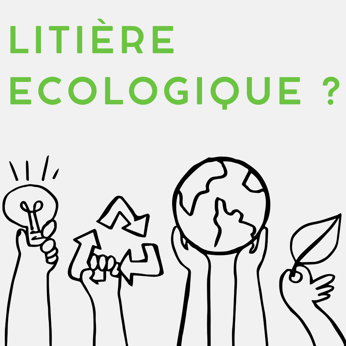 Litière Agglomérante Écologique : Quelles Options Choisir en 2025 ?